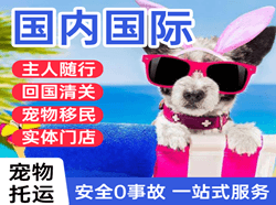 徐州航空快运国际宠物托运 【国